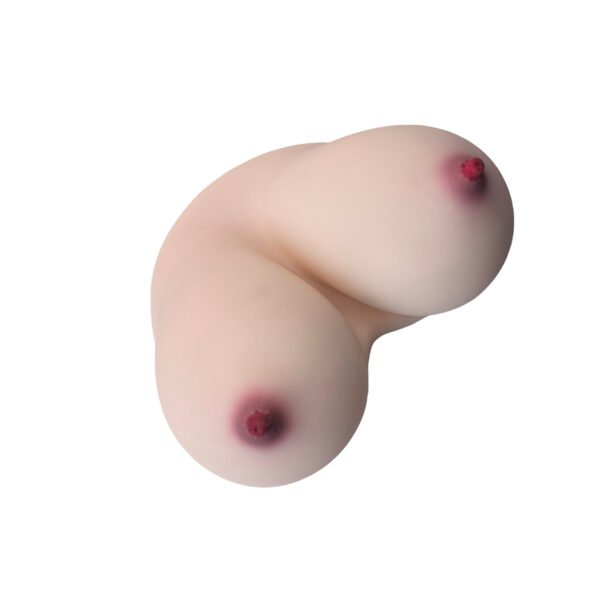 4kg Breast Masturbator