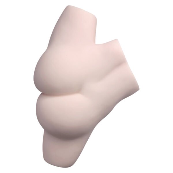 YC043 舒思瑶 (3) 6kg Realistic Hip