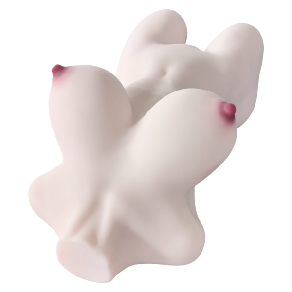 13kg Realistic TPE Torso