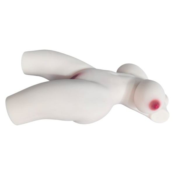 IMG_20260831_152107 22.5kg Extra-Heavy Realistic TPE Torso – YD019