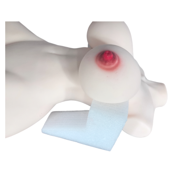 IMG_20260831_152214 22.5kg Extra-Heavy Realistic TPE Torso – YD019