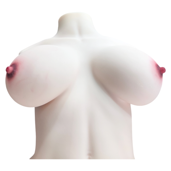YD029 (9) 16.7kg Curvy Realistic TPE Torso – YD029