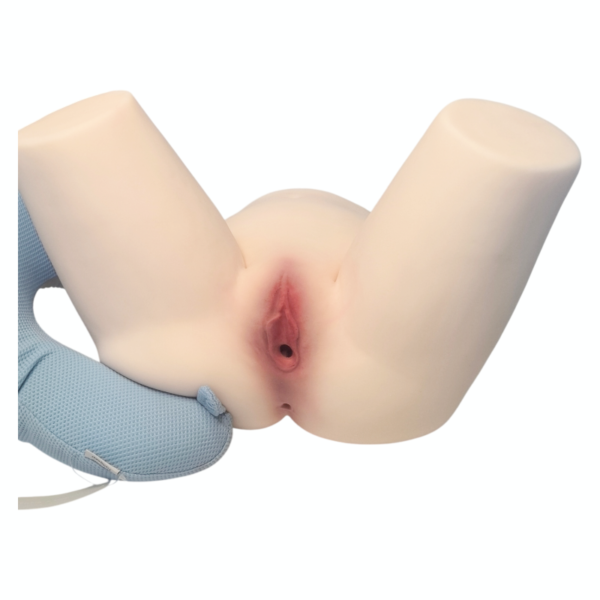 13.3kg Spread-Leg Realistic TPE Hip – YC010